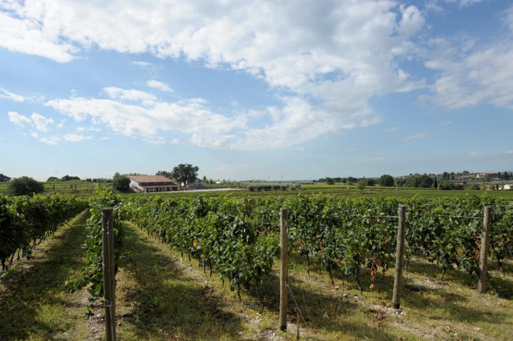 Tenuta La Ca Bardolino Exterior photo