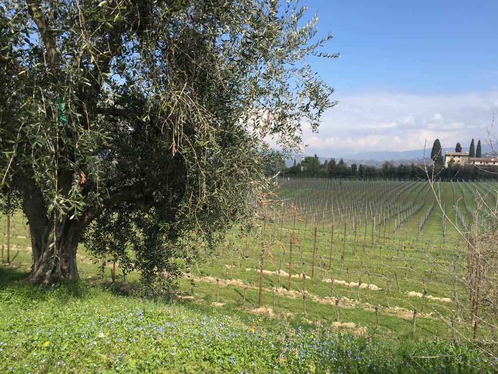 Tenuta La Ca Bardolino Exterior photo